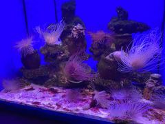 -多彩贵州城极地海洋世界