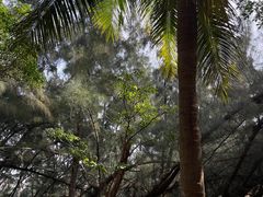 -白沙门生态公园