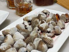 血蛤-华盛丰温州大排档(东三环南路店)