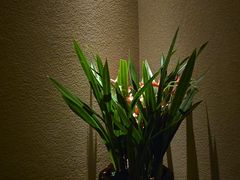 -足本纪·足道 SPA 简餐 小吃(文三西路店)