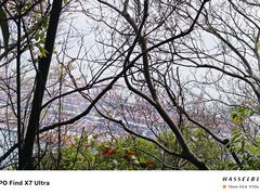-小南山公园