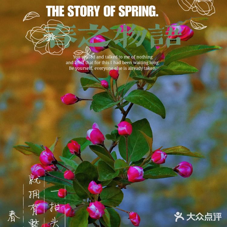 🌸京城赏花攻略|北土城地铁口,让你免费拥抱海棠花海🌷
