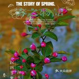 🌸京城赏花攻略|北土城地铁口，让你免费拥抱海棠花海🌷