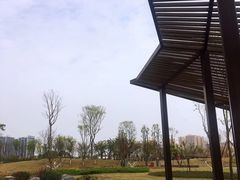-府河摄影公园