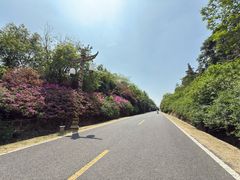 -宜兴龙背山森林公园