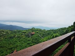 -三亚亚龙湾人间天堂鸟巢度假村