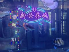 -SFC上影影城(新世界店)