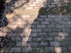 -南通博物苑-崇川人民公园