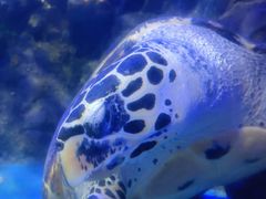 -太平洋海底世界