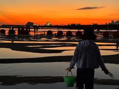 -北海金海湾红树林生态旅游区