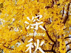 -黄兴公园