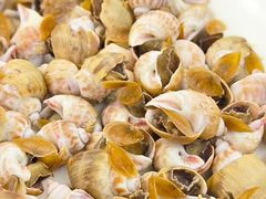 -天天海鲜城·海鲜大排档(新溪店)