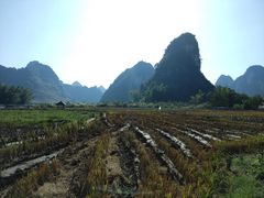-靖西鹅泉风景区