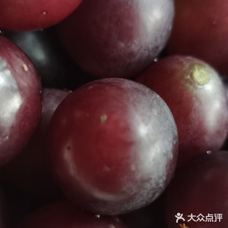       葡萄 提子  你会去 更钟爱哪
