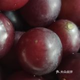       葡萄 提子  你会去 更钟爱哪