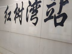 -红树湾(地铁站)