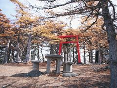 -富士山吉田線五合目