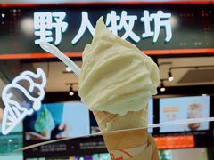 -野人先生现做冰淇淋(西安赛格店)