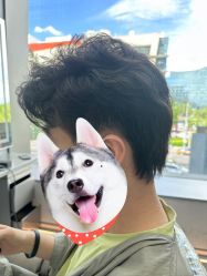 -MY HAIR ARDOR