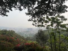 -广州市白云山风景名胜区