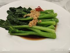 -朝郡酒家·粤菜(燕大星苑店)