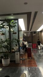 -扎嘎形象设计
