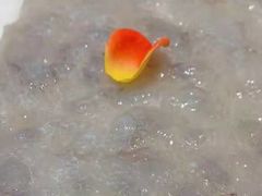 -皇城老妈·大连海鲜火锅(港湾店)