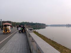 -白鹭湾湿地公园