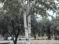 -黄沙古渡原生态旅游区
