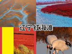 -红海滩国家风景廊道