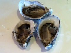 brunch生蚝-北京王府井希尔顿酒店·万斯阁西餐厅