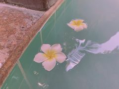 -金穗园温泉酒店