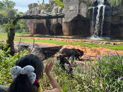 -海南热带野生动植物园