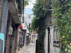 -荔湾湖公园