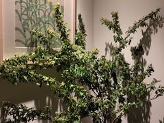 -梅间堂茶馆(绿地缤纷城店)