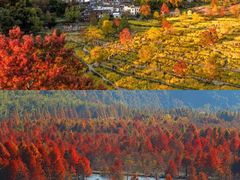 -塔川景区