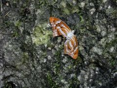 -英西峰林·洞天仙境
