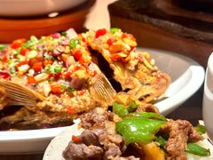 -湘辣辣鲜炒黄牛肉(顺义华联店)