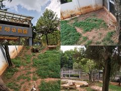 -昆明动物园