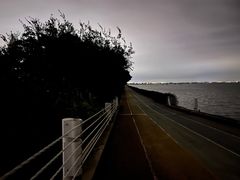 -贡湖湾湿地公园