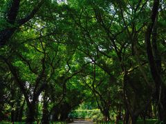 -华南国家植物园-售票处