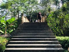 -晓港公园