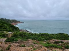 -广东惠东海龟国家级自然保护区