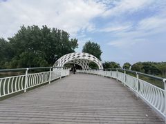 -同里国家湿地公园