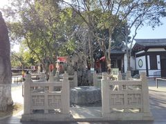 -常熟方塔园