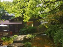 -中国茶叶博物馆(双峰馆区)