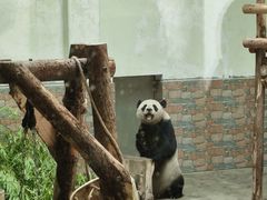-青岛动物园