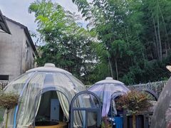 -紫藤园·天目湖大鱼头(南山竹海店)