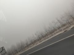 -将军肚烧烤鸡手王(东岭南街店)