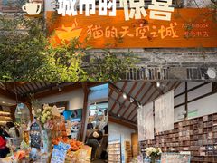 -猫的天空之城概念书店(苏州平江店)